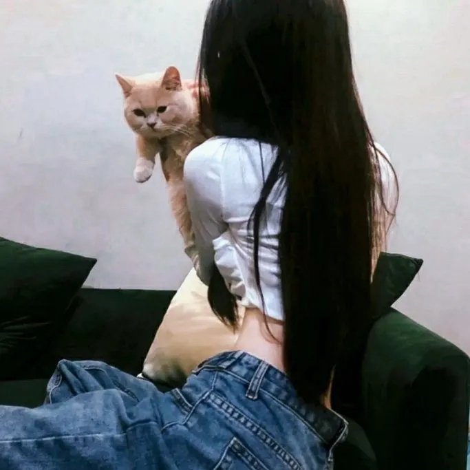 阿凡达5