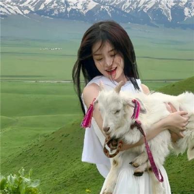 假结婚真幸福